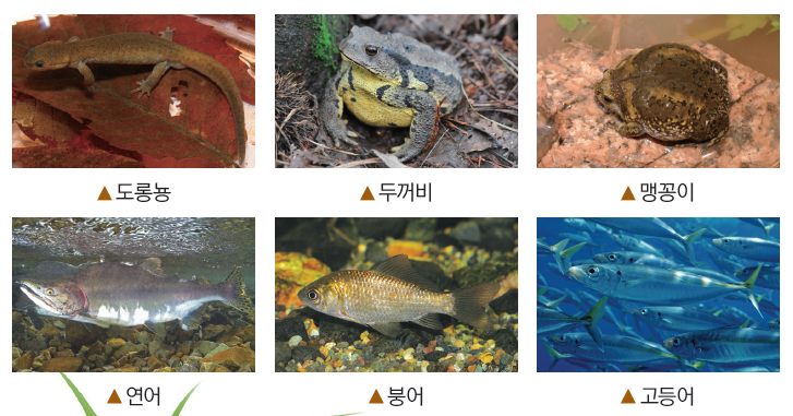 (주)비상교육 과학3~4 ① 113쪽 현행내용 이미지