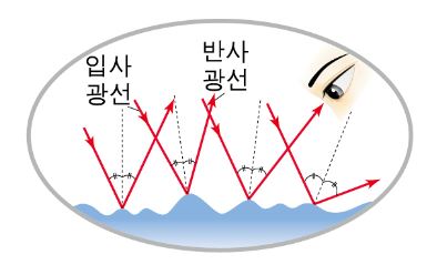 (주)천재교육 과학② 149쪽 수정내용 이미지