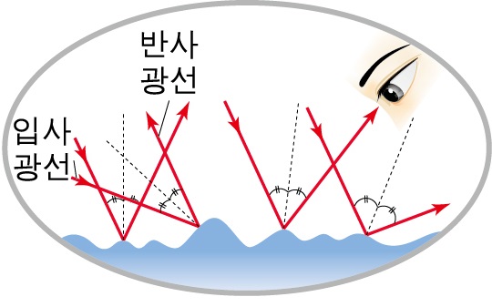 (주)천재교육 과학② 149쪽 현행내용 이미지