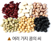 (주)비상교육 과학3~4 ③ 58쪽 현행내용 이미지