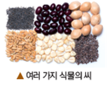 (주)비상교육 과학3~4 ③ 58쪽 수정내용 이미지