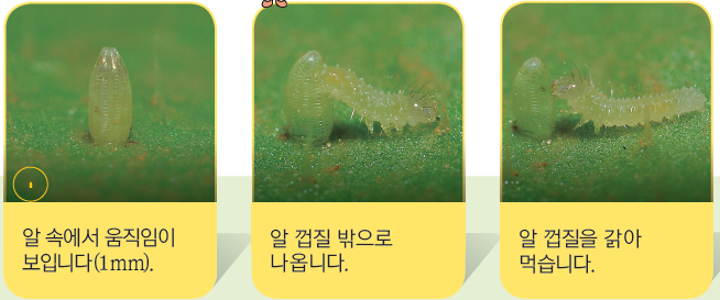 (주)비상교육 과학3~4 ① 94쪽 현행내용 이미지