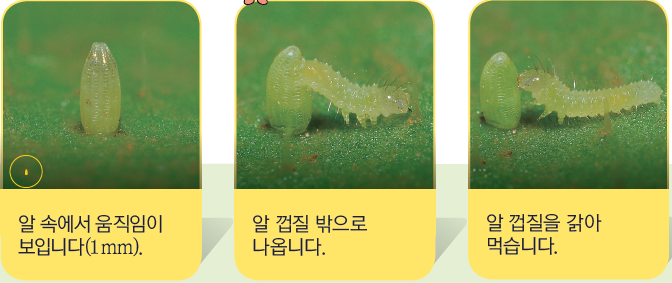 (주)비상교육 과학3~4 ① 94쪽 수정내용 이미지