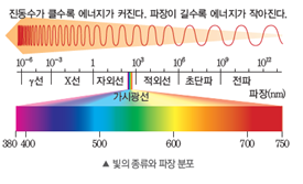 (주)비상교육 과학5~6(전자저작물CD 포함) ③ 317쪽 현행내용 이미지