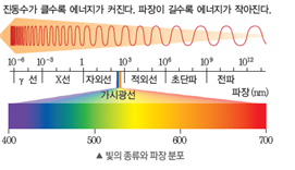 (주)비상교육 과학5~6(전자저작물CD 포함) ③ 317쪽 수정내용 이미지