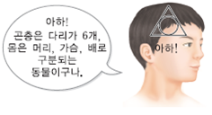 (주)비상교육 과학5~6(전자저작물CD 포함) ① 70쪽 수정내용 이미지