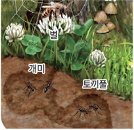 (주)비상교육 실험관찰5~6 ③ 30쪽 현행내용 이미지