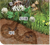 (주)비상교육 실험관찰5~6 ③ 30쪽 수정내용 이미지