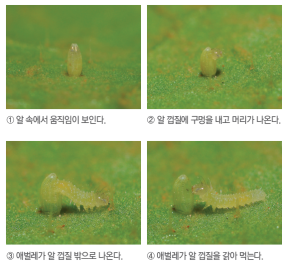 (주)비상교육 과학3~4(전자저작물CD 포함) ① 321쪽 현행내용 이미지