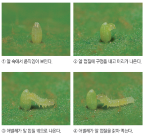 (주)비상교육 과학3~4(전자저작물CD 포함) ① 321쪽 수정내용 이미지