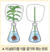 (주)비상교육 과학5~6(전자저작물CD 포함) ① 320쪽 현행내용 이미지