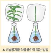 (주)비상교육 과학5~6(전자저작물CD 포함) ① 320쪽 수정내용 이미지