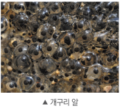 (주)비상교육 과학3~4(전자저작물CD 포함) ① 339쪽 현행내용 이미지