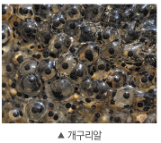 (주)비상교육 과학3~4(전자저작물CD 포함) ① 339쪽 수정내용 이미지