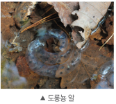 (주)비상교육 과학3~4(전자저작물CD 포함) ① 339쪽 현행내용 이미지