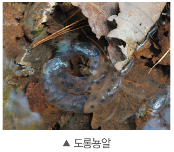 (주)비상교육 과학3~4(전자저작물CD 포함) ① 339쪽 수정내용 이미지