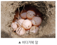 (주)비상교육 과학3~4(전자저작물CD 포함) ① 342쪽 현행내용 이미지