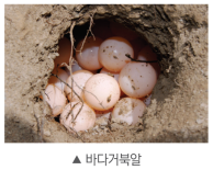 (주)비상교육 과학3~4(전자저작물CD 포함) ① 342쪽 수정내용 이미지