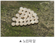 (주)비상교육 과학3~4(전자저작물CD 포함) ① 342쪽 현행내용 이미지