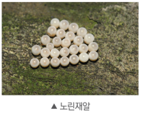 (주)비상교육 과학3~4(전자저작물CD 포함) ① 342쪽 수정내용 이미지