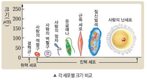 (주)비상교육 과학5~6(전자저작물CD 포함) ① 335쪽 현행내용 이미지