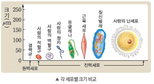 (주)비상교육 과학5~6(전자저작물CD 포함) ① 335쪽 수정내용 이미지