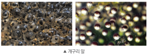 (주)비상교육 과학3~4(전자저작물CD 포함) ① 353쪽 현행내용 이미지
