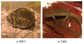 (주)비상교육 과학3~4(전자저작물CD 포함) ① 355쪽 현행내용 이미지