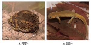 (주)비상교육 과학3~4(전자저작물CD 포함) ① 355쪽 수정내용 이미지