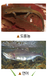 (주)비상교육 과학3~4 ① 113쪽 현행내용 이미지