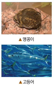 (주)비상교육 과학3~4 ① 113쪽 현행내용 이미지