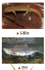 (주)비상교육 과학3~4 ① 113쪽 수정내용 이미지