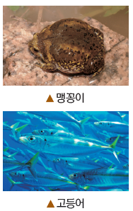 (주)비상교육 과학3~4 ① 113쪽 수정내용 이미지
