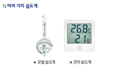 (주)비상교육 과학5~6(전자저작물CD 포함) ② 195쪽 수정내용 이미지