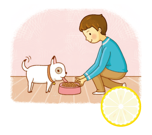 파고다북스 생활 일본어(전자저작물 CD 포함) 95쪽 현행내용 이미지