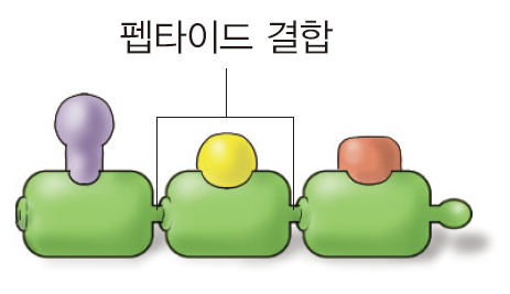 (주)금성출판사 통합과학 68쪽 현행내용 이미지