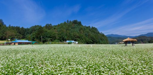 (주)미래엔 한국지리 2~3, 84~85쪽 수정내용 이미지