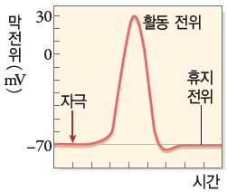 동아출판(주) 생명과학Ⅰ 91쪽 수정내용 이미지