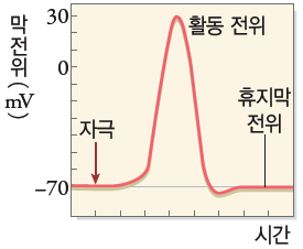 동아출판(주) 생명과학Ⅰ 91쪽 현행내용 이미지