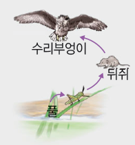 동아출판(주) 생명과학Ⅰ 198쪽 현행내용 이미지