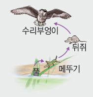 동아출판(주) 생명과학Ⅰ 198쪽 수정내용 이미지