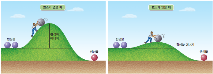 (주)비상교육 통합과학 149쪽 현행내용 이미지