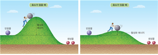(주)비상교육 통합과학 149쪽 수정내용 이미지