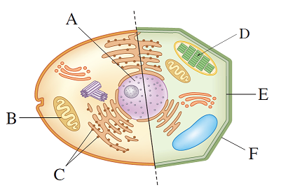 (주)비상교육 통합과학 162쪽 수정내용 이미지