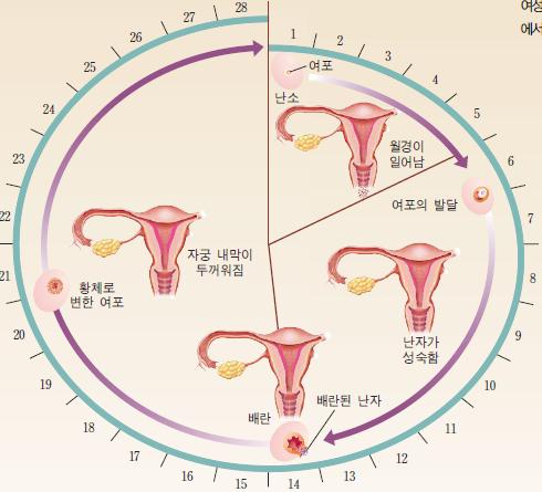 (주)교학사 과학③ 201쪽 수정내용 이미지