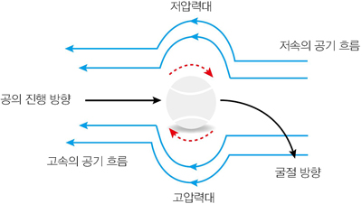 (주)체육과건강 스포츠 과학 86쪽 현행내용 이미지