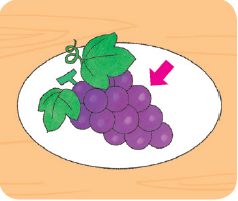 포도(grape)을 설명하기 위해 접시에 담긴 포도를 그렸으나, grapes가 아닌 grape이므로 포도 한 알 위에 화살표로 단수임을 표시해 줌.