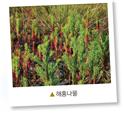 (주)미래엔 과학3~4 ④ 47쪽 현행내용 이미지