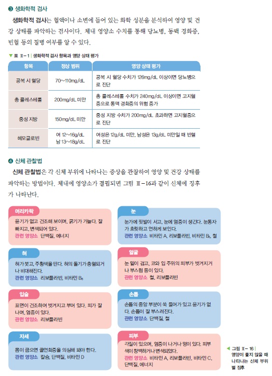 식생활 평가 도구