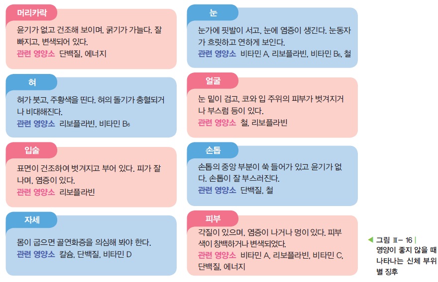 임상적 신체 관찰법